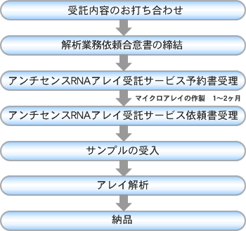 受託内容のお打ち合わせ>解析業務依頼合意書の締結>アンチセンスRNAアレイ受託サービス予約書受理>マイクロアレイの作製 1〜2ヶ月>アンチセンスRNAアレイ受託サービス依頼書受理>サンプルの受入>アレイ解析>納品
