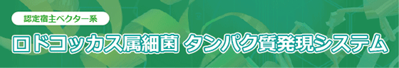 ロドコッカス属細菌 タンパク質発現システム