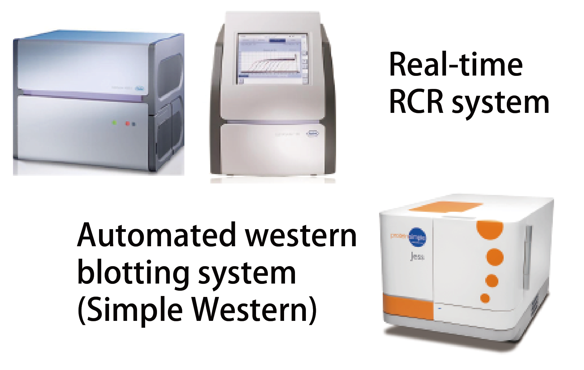 Gene and protein expression analysis