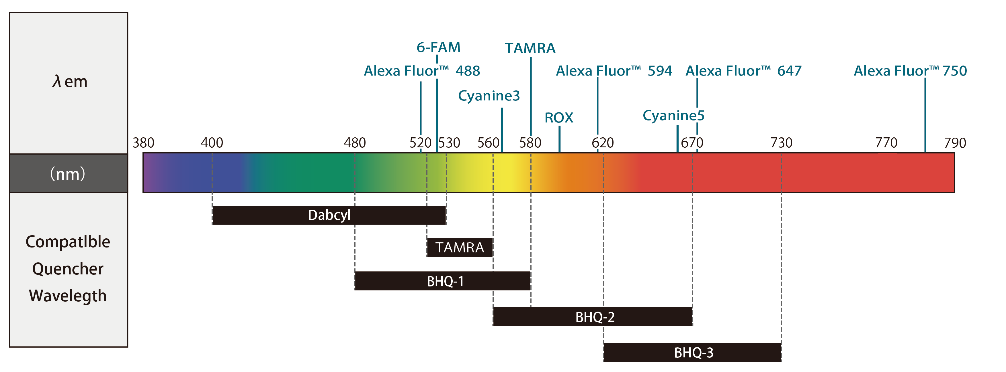 fluorescent-dyes-and-quenchers_wavelength-chart
