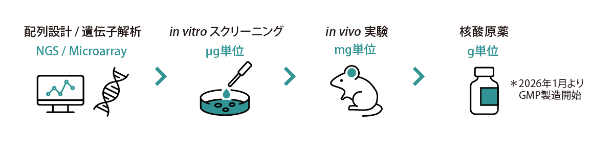 CDMOサービスの流れ