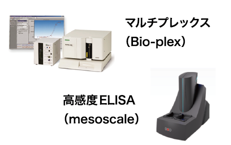 サイトカイン、マーカー解析