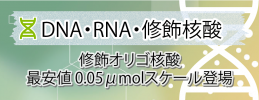 修飾オリゴ核酸合成