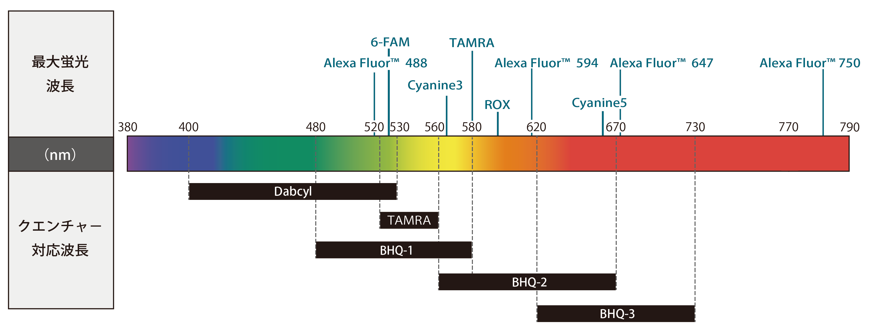 fluorescent-dyes-and-quenchers_wavelength-chart