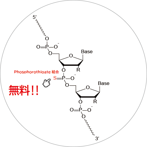 PS修飾料金無料