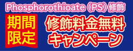 PS修飾料金無料キャンペーン