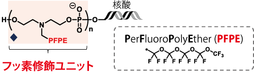 Rf修飾ユニットの構造