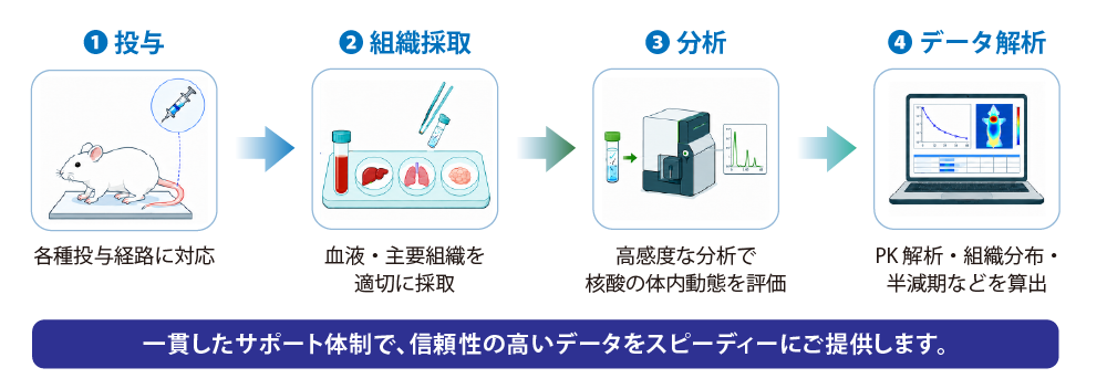 投与から組織採取、分析、データ解析までの一貫対応フロー
